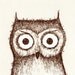owl and pussycat double portrait - fine art print (medium)