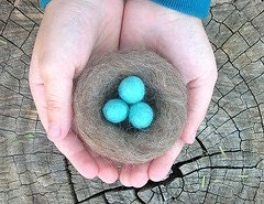 Perfect Robins Nest