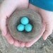 Perfect Robins Nest