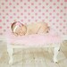 Pink Faux Fur Fabric Nest Long Pile Mongolian Blanket Basket Stuffer Newborns Baby Girl Photography Photo Prop - Ready to Ship