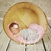 Pink Faux Fur Fabric Nest Long Pile Mongolian Blanket Basket Stuffer Newborns Baby Girl Photography Photo Prop - Ready to Ship