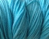Cove Aqua DK Sport Weight Hand Dyed Merino Wool Yarn