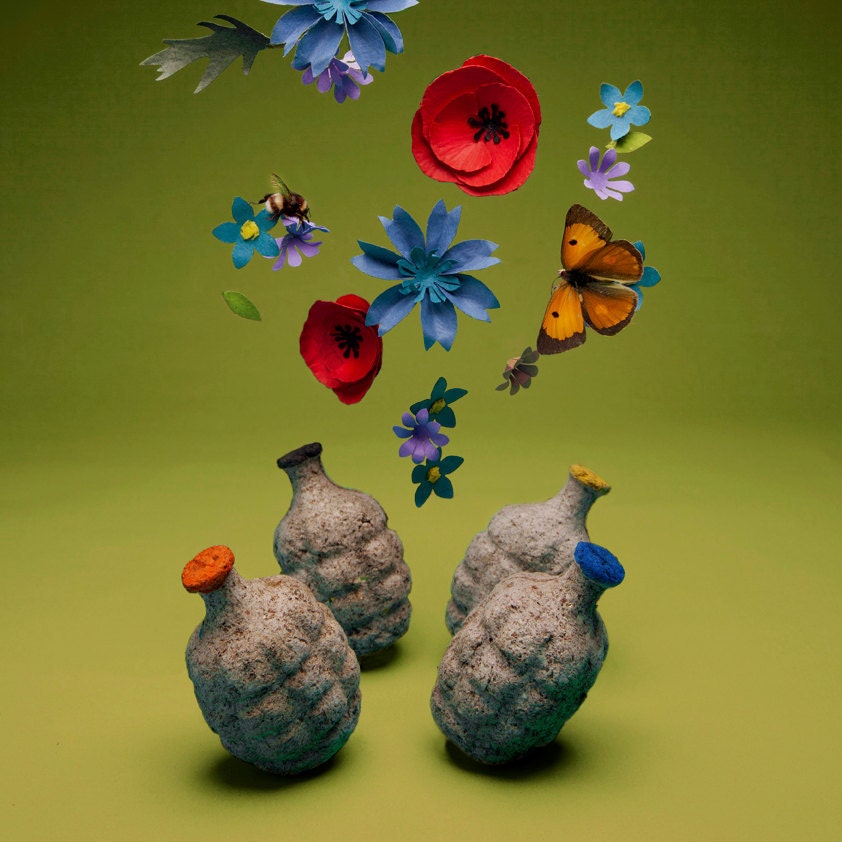 Seedbom 4 Pack - Wildflower Selection