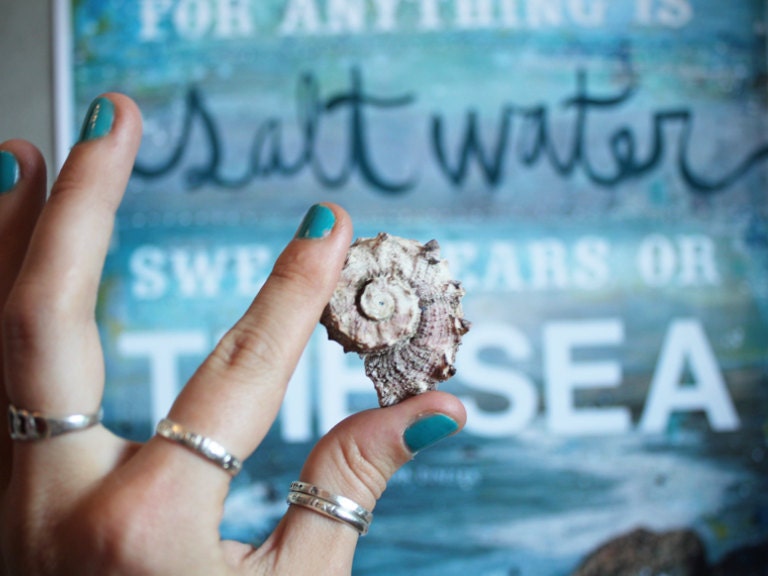16 x 20 paper print - The Cure for Anything Is Salt Water - inspirational ocean artwork, beach word art typography poster