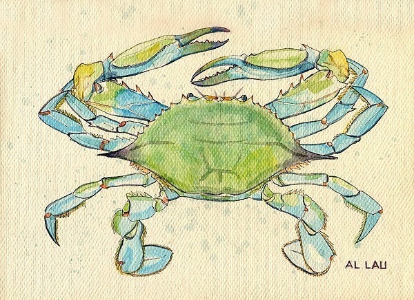 Blue Crab