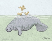 Manatee Island