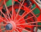 BIG WHEEL 4x6 Fine Art Print