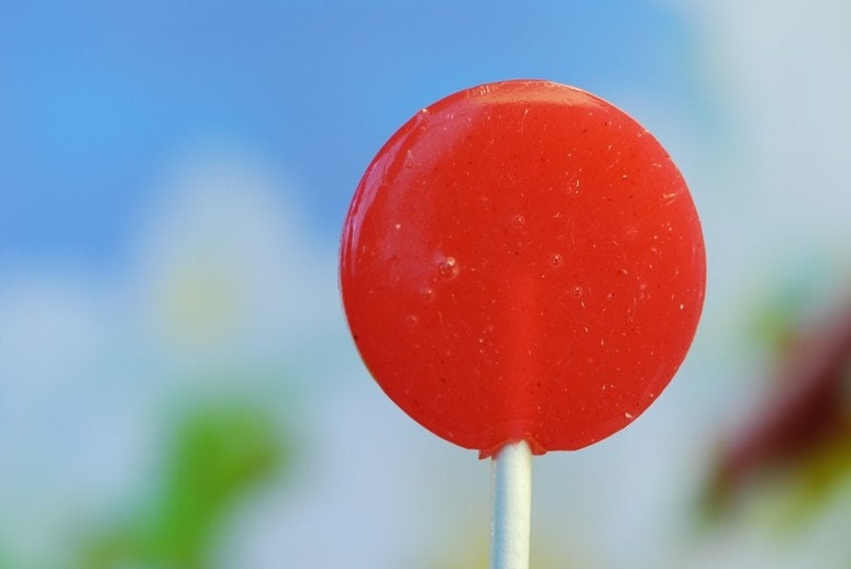 12 Guava Colada Lollipops - tropical guava coconut hard candy lollipops