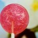 12 Watermelon Basil Lollipops - gourmet hard candy suckers- red pink lollipops