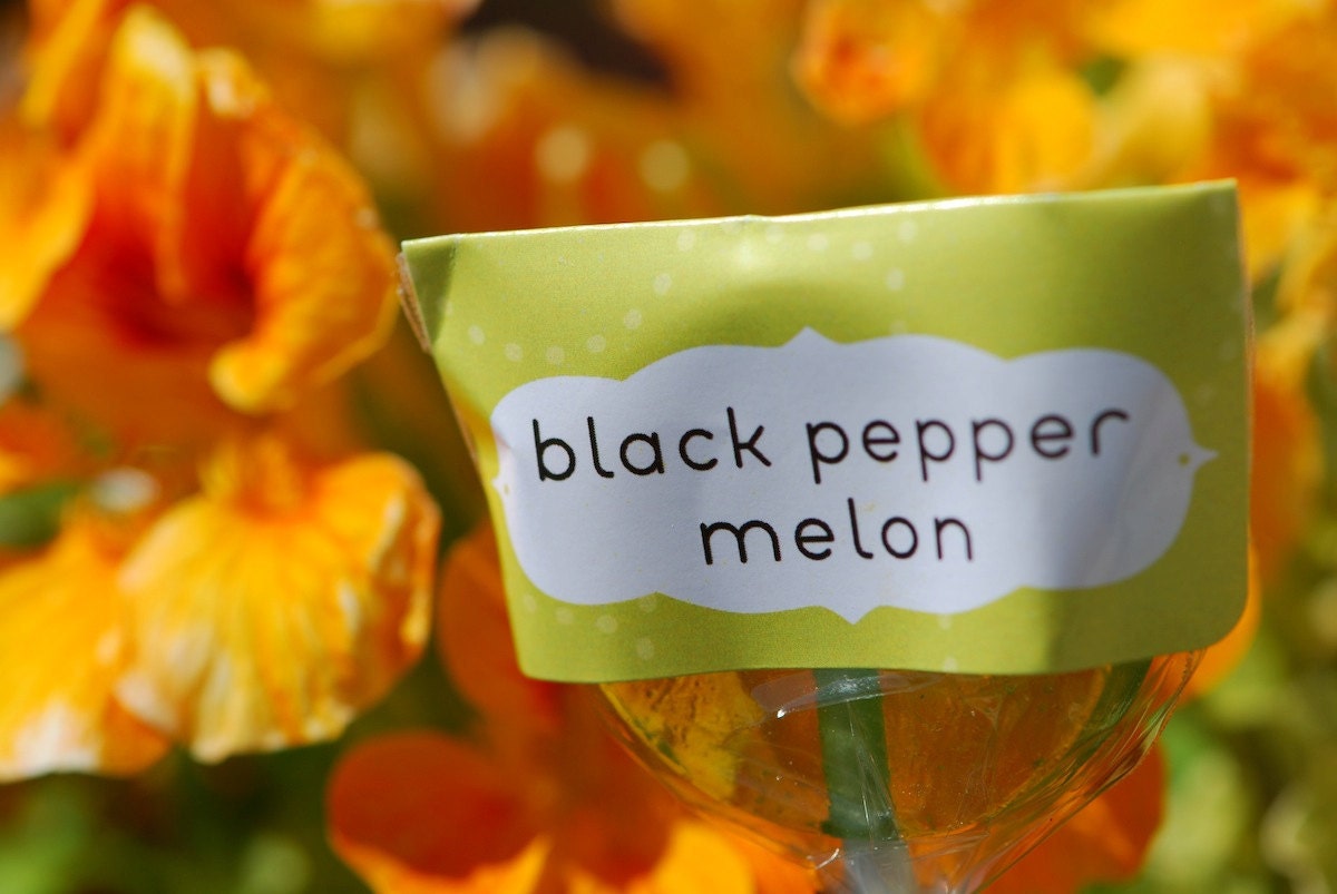 12 Black Pepper Melon Lollipops - all natural gourmet hard candy suckers
