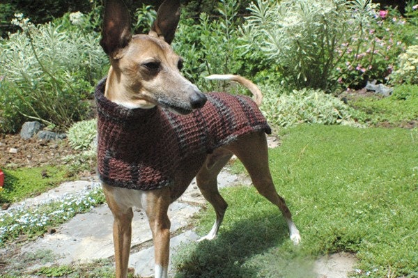 Custom Crocheted Small Dog Sweater in Brownstone