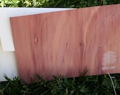 wood tree stationery set (by Tiny Pine Press)