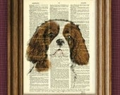 CAVALIER KING CHARLES dog beautifully upcycled vintage dictionary page book art print