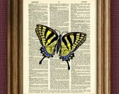 SWALLOWTAIL BUTTERFLY illustration beautifully upcycled dictionary page book art print