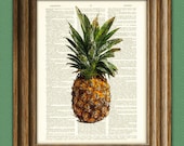 Awesome PINEAPPLE beautifully upcycled dictionary page book art print