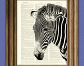 Zebra Art Print Hello There beautifully upcycled dictionary page book art print
