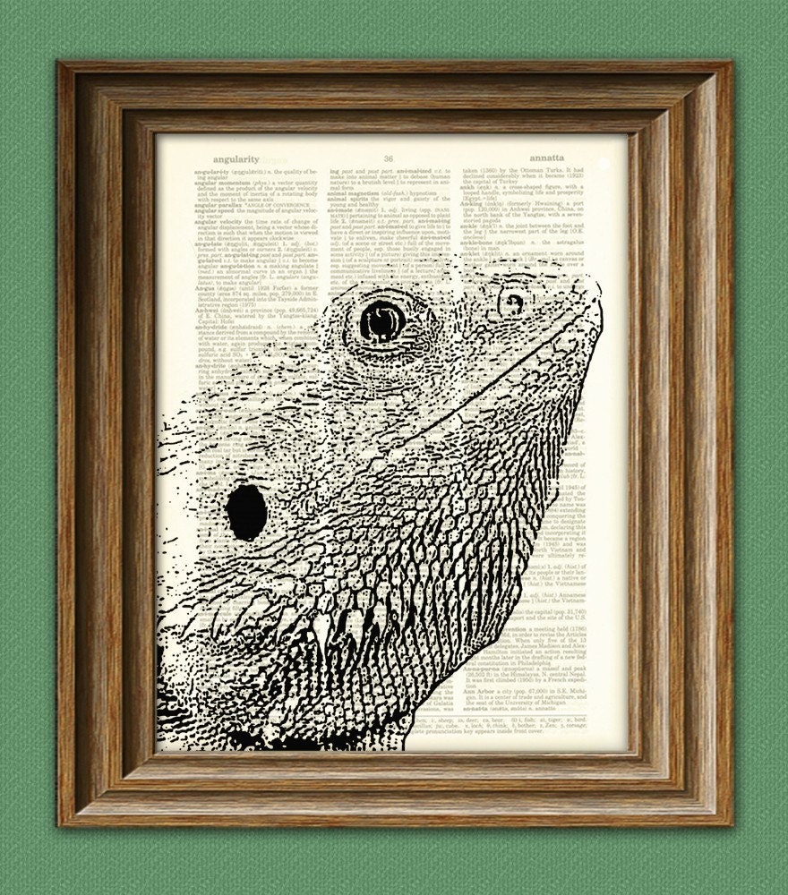 BEARDED DRAGON illustration beautifully upcycled dictionary page book art print