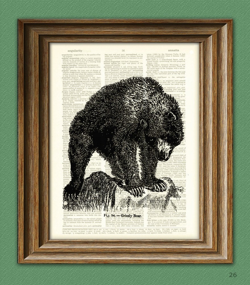 Cool GRIZZLY BEAR illustration beautifully upcycled dictionary page book art print