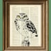 Owl Art Print Burrowing Owl vintage dictionary page book art print