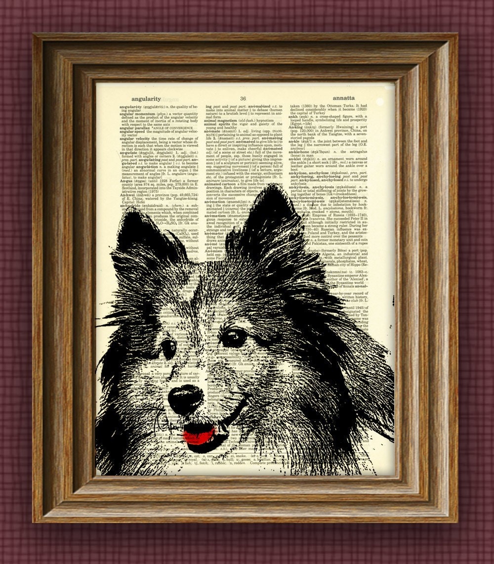 Shetland Sheepdog SHELTIE dog beautifully upcycled vintage dictionary page book art print