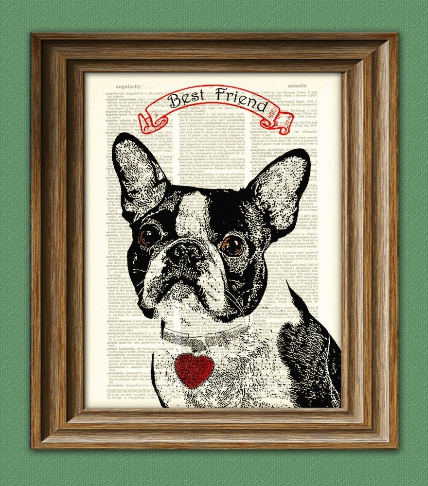 BOSTON TERRIER dog beautifully upcycled vintage dictionary page book art print PERSONALIZED
