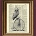 TOP HAT OWL on a Penny Farthing Bicycle bike print over an upcycled vintage dictionary page book art