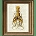 Giant Squid in color 3 altered art dictionary page illustration book print