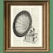 Antique GRAMOPHONE old record player print over an upcycled vintage dictionary page book art - Buy 3 get 1 Free