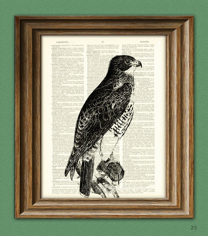 RED TAILED HAWK beautifully upcycled vintage dictionary page book art print
