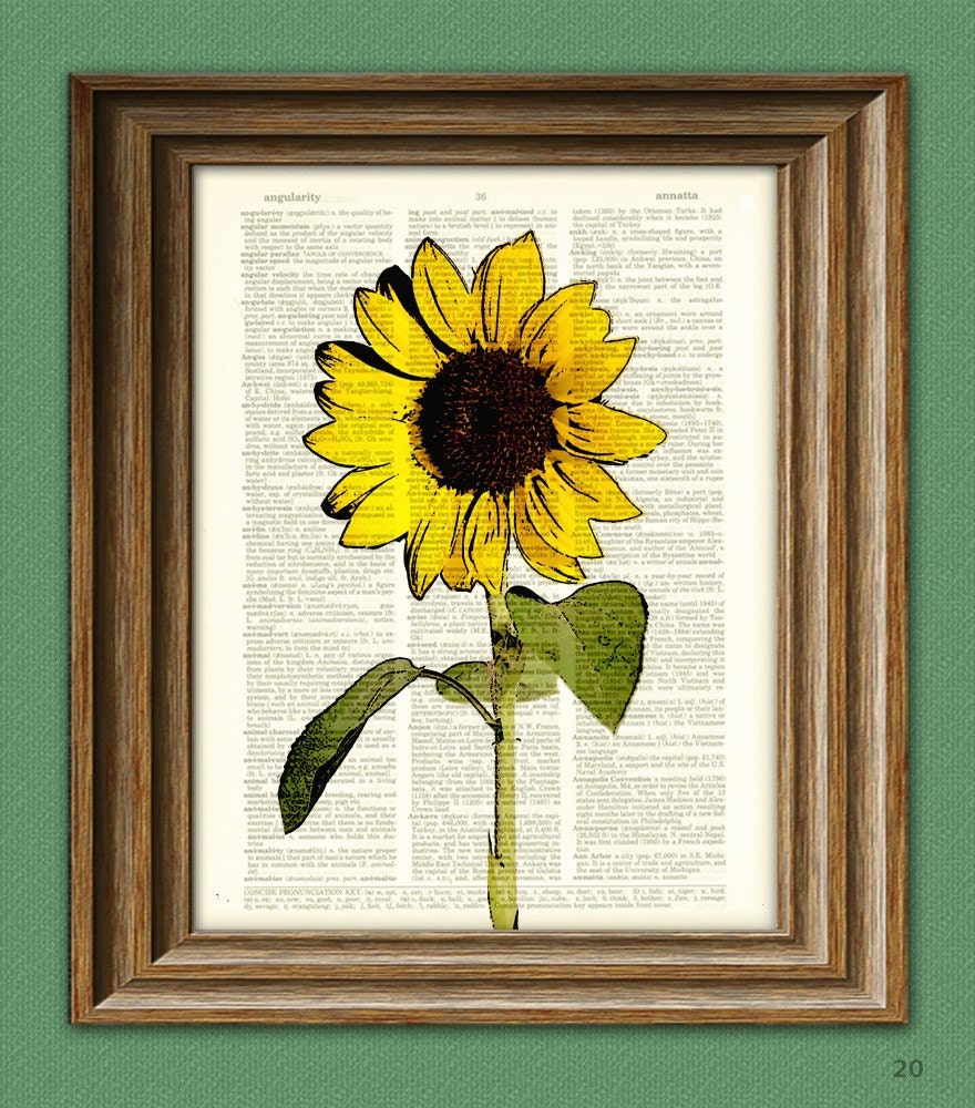 Sunflower art print botanical illustration beautifully upcycled dictionary page book art print