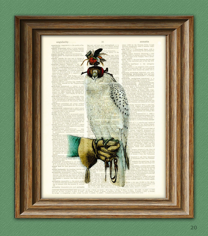 The Falconer Falcon and feathered hood illustration beautifully upcycled dictionary page book art print