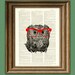 Owl Smarty Pants nerdy young owl with red glasses illustration beautifully upcycled dictionary page book art print