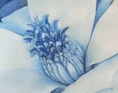 magnolia flower, watercolor art print, blue flowers