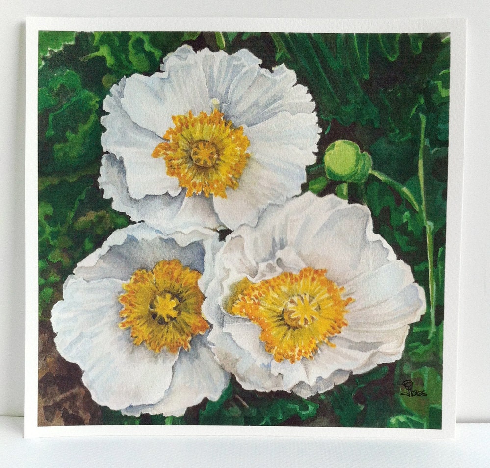 white poppies, poppy art print, watercolor flowers