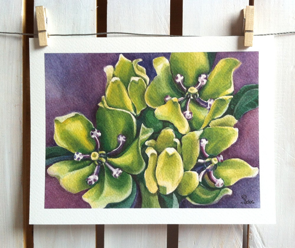 wildflowers, flower art print, milkweed, watercolor flowers