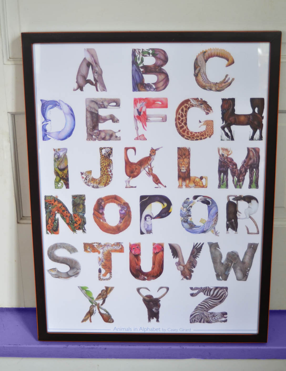 Animals in Alphabet - Poster 18 x 24 - Casey G.