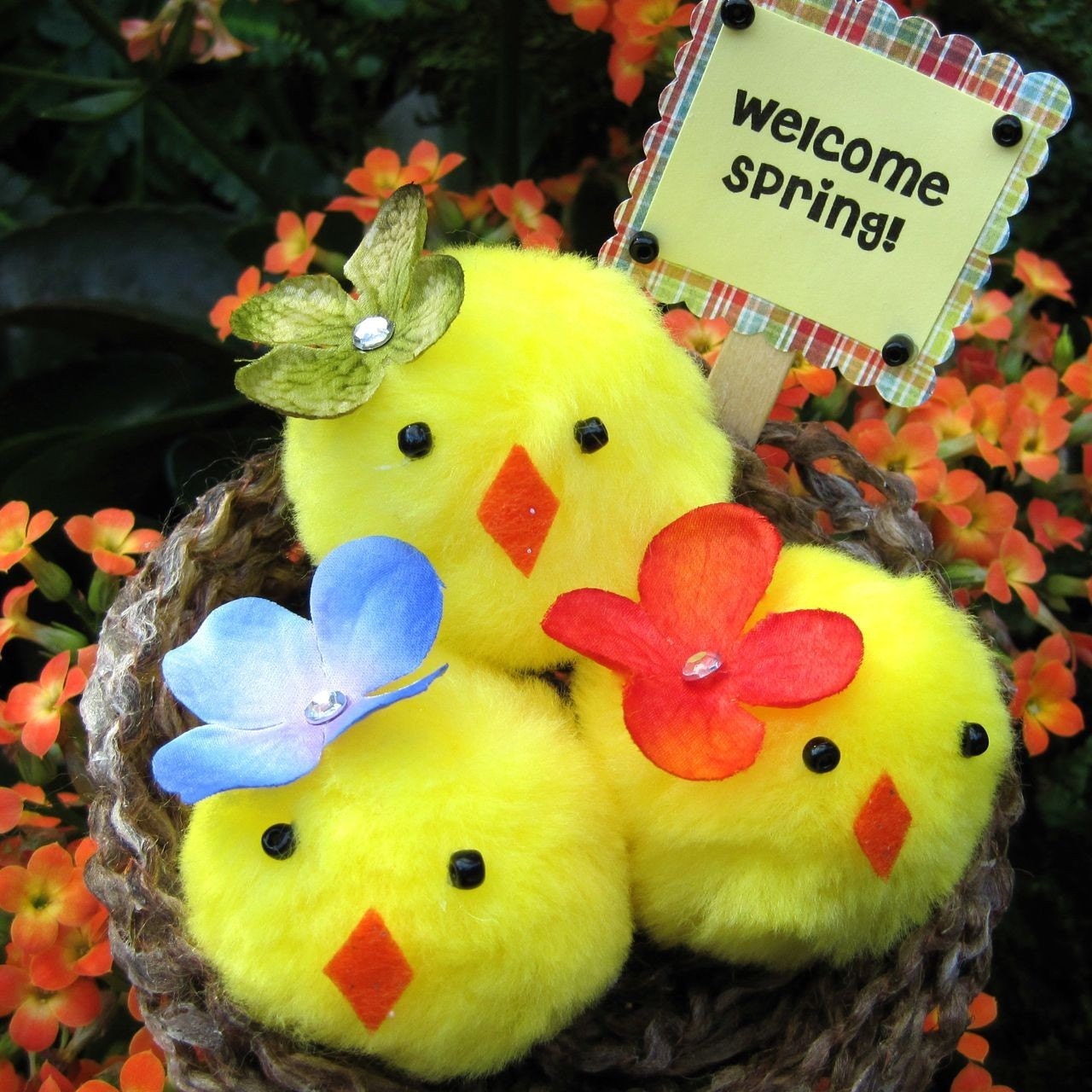 Chickie Craft Kit