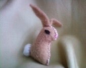 Teency Weency Baby Bunny