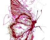 the red butterfly