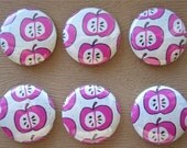 Pink Apples Magnet Set (6)