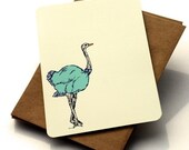 The Ostrich Notecards -Set of 6 Flat Notecards and Envelopes