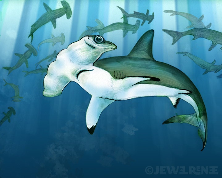 Hammerhead Sharks Art Print - Blue Gray White Aquatic Illustration - 11x14" Print - Watercolor Inspired - JewelRenee