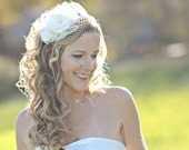 Flower Bird Cage Veil on a Headband // Cordelia