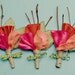Andrew - Country rustic boutonniere