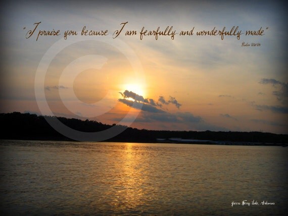 Wonderfully Made 4x6 photo