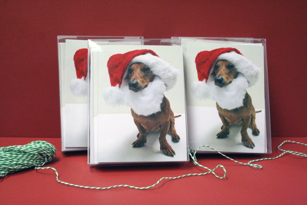 SALE Dachshund Santa Boxed Christmas Cards