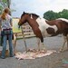SALE Remember Original Painting from Pony Artist Minnow // Abstract Art
