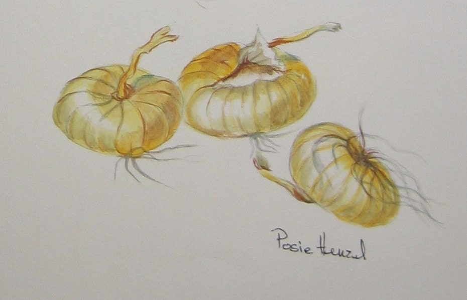 onions shallots vegetable watercolor original painting