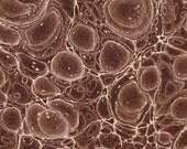 paper marbled gorgeous chocolate brown no.1 antique 1831