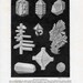 1900 crystal forms original antique weather science print no. 2